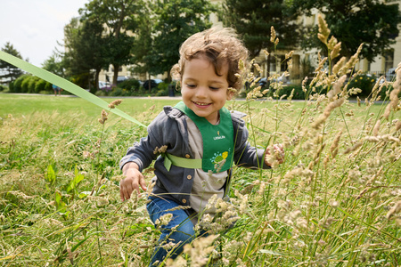Szelki bezpieczeństwa LittleLife - Żółw