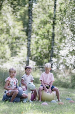 Skoczek Find that Hippo - Dinozaur