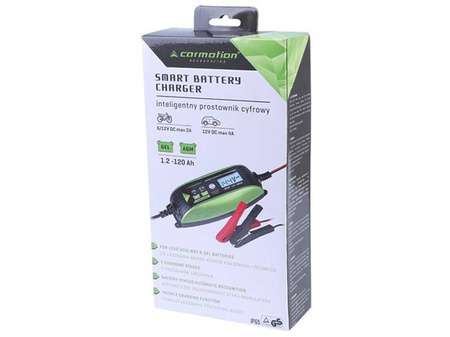 Prostownik z mikroprocesorem do akumulatorów 6V/12V - 2A/4A, 1.2-120 Ah, IP65
