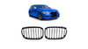 Grill sportowy pojedyncze żeberka Gloss Black  BMW 1 (F20, F21) Hatchback przed liftem 2011-2015