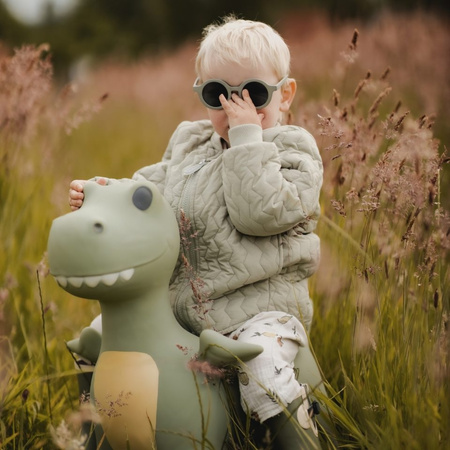 Skoczek Find that Hippo - Dinozaur