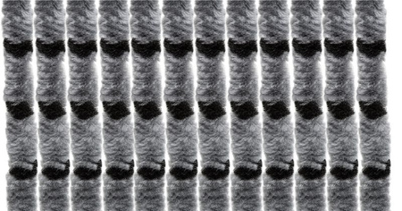 Kotki do drzwi 205x56cm szaro-czarne Brunner
