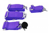 Pasy sportowe 4p 3" Purple - Quick