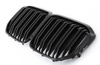 GRILL NERKI BMW X7 G07 DOUBLE GLOSSY BLACK X6M OPT