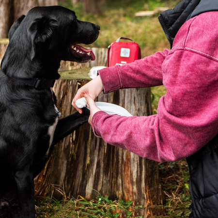 Apteczka pierwszej pomocy dla psa Mountain Paws