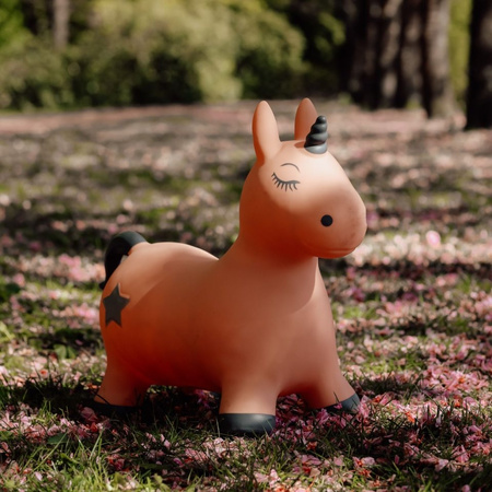 Skoczek Find that Hippo - Jednorożec