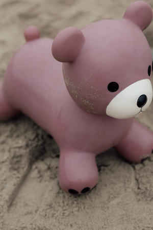 Skoczek Find that Hippo - Miś