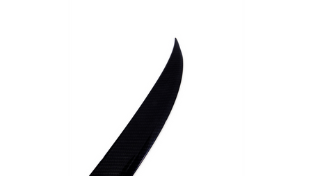 Lotka Lip Spoiler Carbon Look MERCEDES SL R230 2001-2012