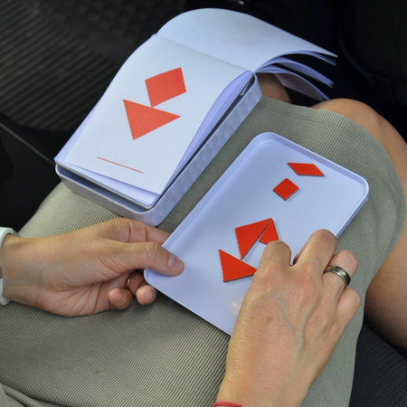 Podróżne łamigłówki The Purple Cow - 50 Tangram