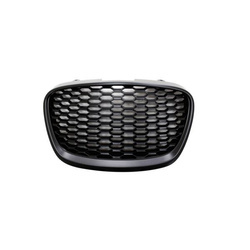 GRILL SEAT LEON 09-11  BLACK MATT PLASTER
