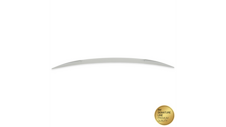 Lotka Lip Spoiler  BMW 1 (E82) Coupe 2007-2013