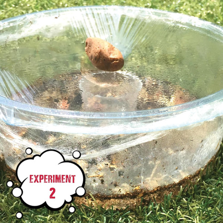 Zestaw do robienia eksperymentów The Purple Cow Einstein - Szkoła Przetrwania