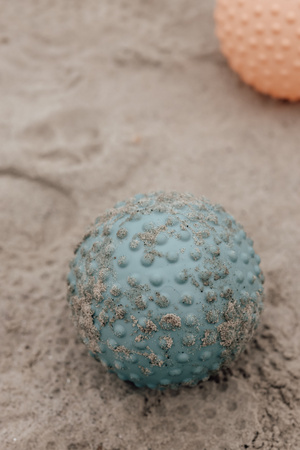 Duża piłka sensoryczna Find that Hippo 20 cm - Niebieska