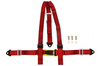 Pasy sportowe 3p 2" Red - E4