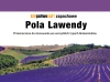 Biopaliwo zapachowe 1l Pola Lawendy
