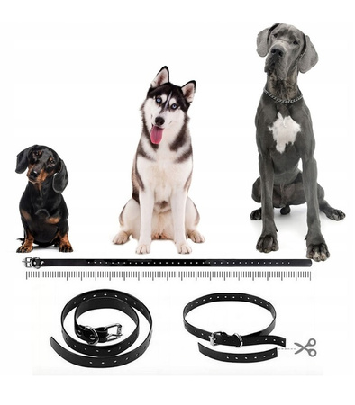 ELEKTRYCZNA OBROŻA TRENINGOWA DLA PSA Z PILOTEM WODOODPORNA ZASIĘG 800 M