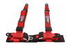Pasy sportowe 4p 2" D1Spec Red