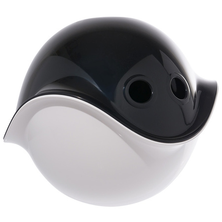 Muszelka bilibo - Czarna