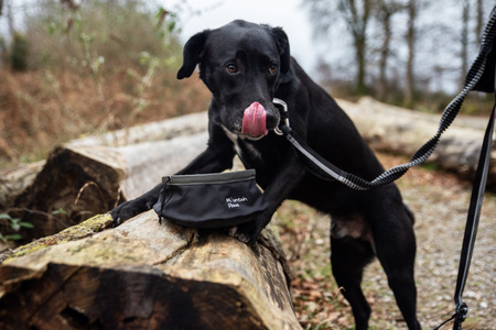 Składana, turystyczna miska do karmienia psa Mountain Paws