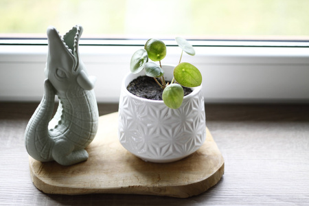 Silikonowa Konewka Krokodyl Scrunch - Pudrowy Róż