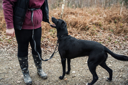 Smycz do biegania z amortyzatorem Mountain Paws - 281 cm