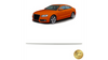Lotka Lip Spoiler  AUDI A5 (8T) Sportback 2009-2017