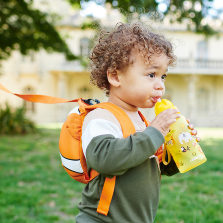 Bidon LittleLife Safari