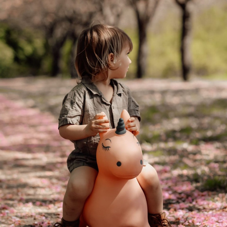 Skoczek Find that Hippo - Jednorożec