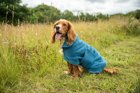 Kamizelka z polaru dla psa Mountain Paws M