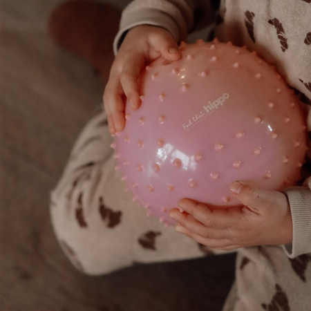 Piłki sensoryczne 2 szt. Find that Hippo - Sun