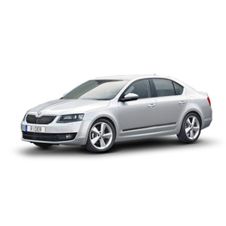 Skoda Octavia III 5D listwy boczne