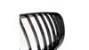Grill BMW X5 E53 pojedyncze żeberka Gloss Black