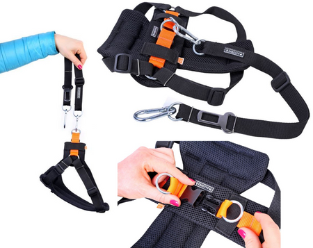 Pasy szelki bezpieczeństwa Kardiff do przewozu psa rozmiar L