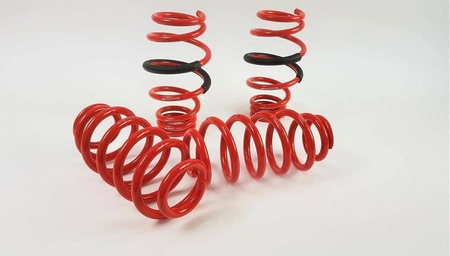 Seat Altea XL Zawieszenie gwintowane MTS Technik MTSGWVW45