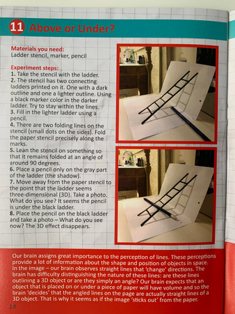 Zestaw do robienia eksperymentów The Purple Cow - Magiczne Laboratorium