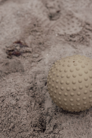 Duża piłka sensoryczna Find that Hippo 20 cm - Zielona