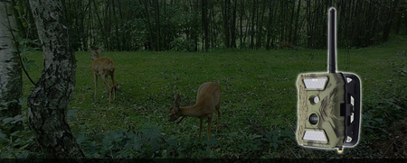 Kamera leśna fotopułapka FULL HD 40 IR GPRS MMS