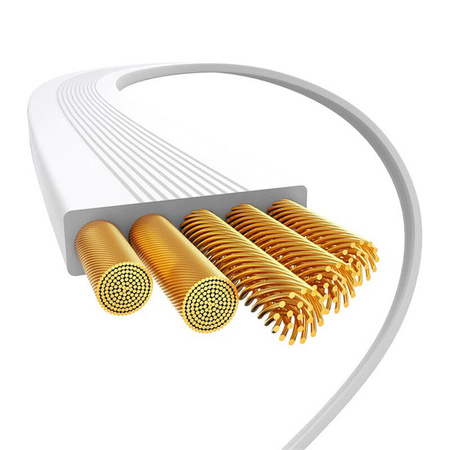 Baseus Kabel ładowania USB-C do USB-C 100W (biały) Edycja Bayern