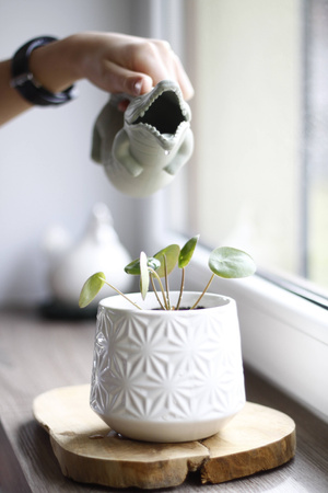 Silikonowa Konewka Krokodyl Scrunch - Pudrowy Róż