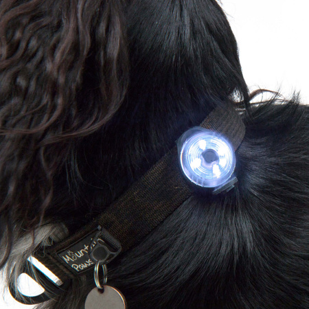 Lampka bezpieczeństwa dla psa Mountain Paws - 2 lampki