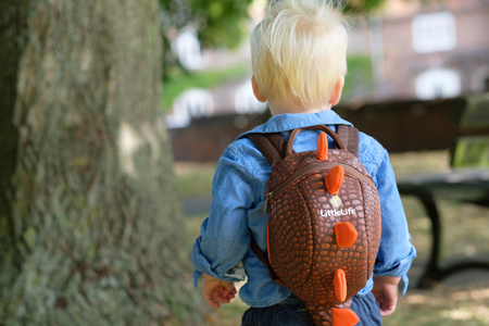 Plecaczek LittleLife Animal - Dinozaur