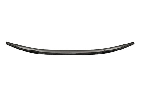 Lotka Lip Spoiler - LEXUS RC 2016+
 Carbon