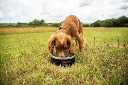 Stalowa miska dla psa Mountain Paws