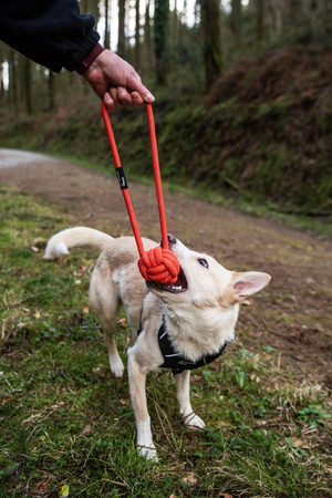 Zabawka dla psa, piłka sznurowa Ball Rope Mountain Paws