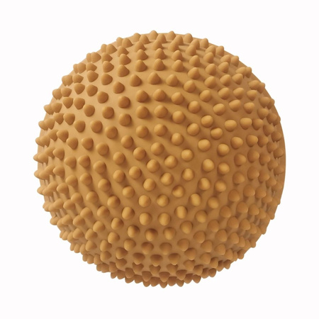 Ścieżka sensoryczna Find that Hippo - Wschód słońca