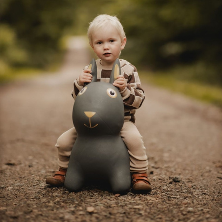 Skoczek Find that Hippo - Królik