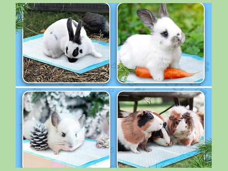 PODKŁADY CHŁONNE DLA PSA 33 X 45 100 SZT. MATY HIGIENICZNE DO NAUKI SIKANIA + WORKI