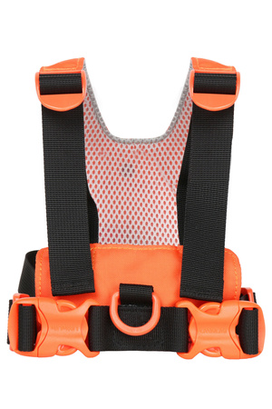 Szelki bezpieczeństwa LittleLife - Tygrys