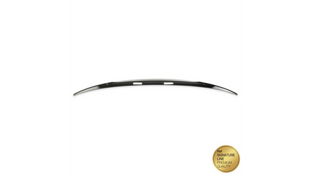 Lotka Lip Spoiler Carbon Look BMW X6 E71 E72 2007-2014
