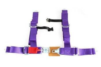 Pasy sportowe 4p 2" Purple - DTM